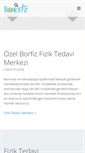 Mobile Screenshot of borfiz.com.tr
